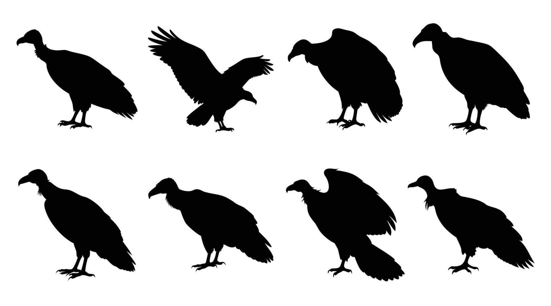 Vulture Silhouette Set Bird of Prey Clipart for Wildlife Designs vector