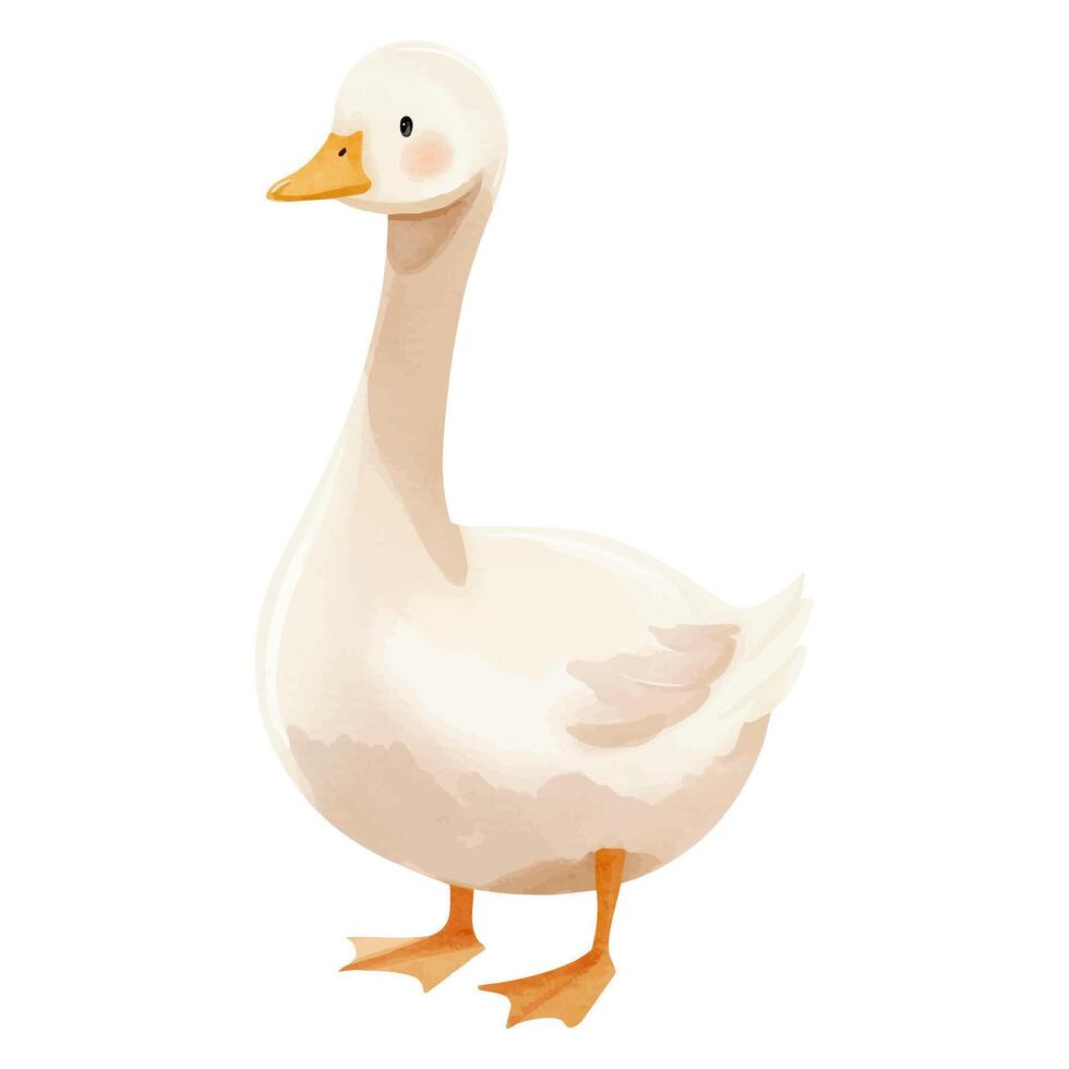 Cute goose in watercolor style. Hand drawn farm animals. Watercolor goose vector