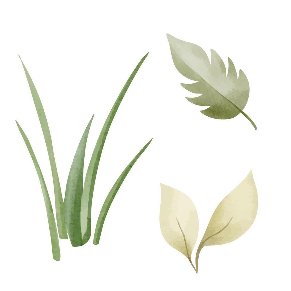 Watercolor grass and leaves. Gardening, hand drawn botanical illustration. vector