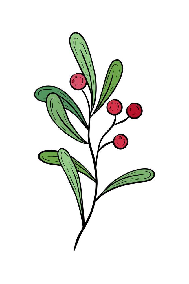 wreath with green leaves and red berries. New Year and Christmas plant, greenery with red berries. Hand drawn flower graphics. Illustration for holiday design and decoration. Berry viburnum, rowan vector