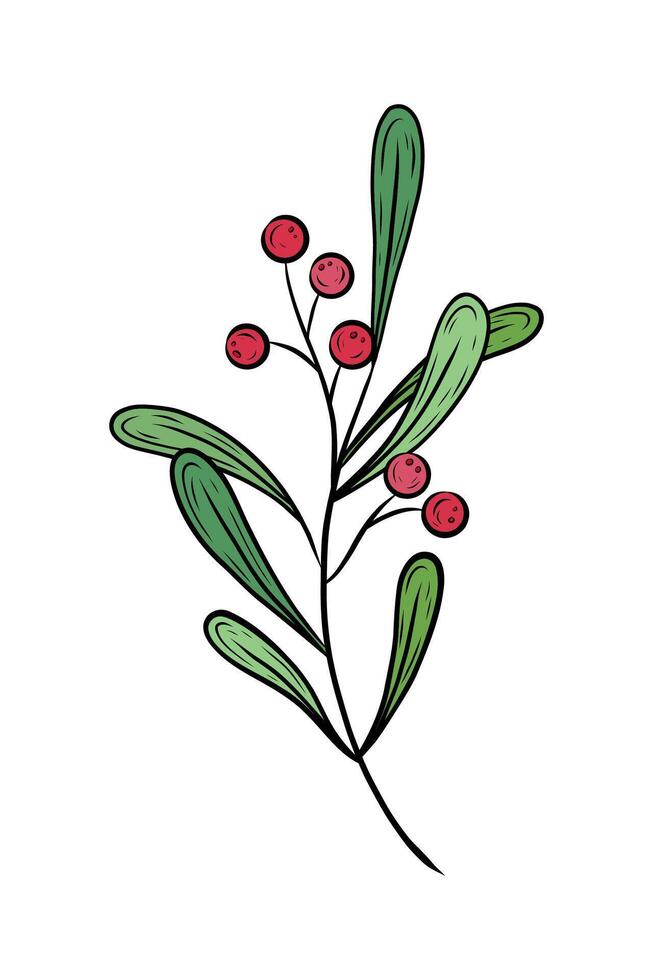 wreath with green leaves and red berries. New Year and Christmas plant, greenery with red berries. Hand drawn floral graphics. Illustration for holiday design vector