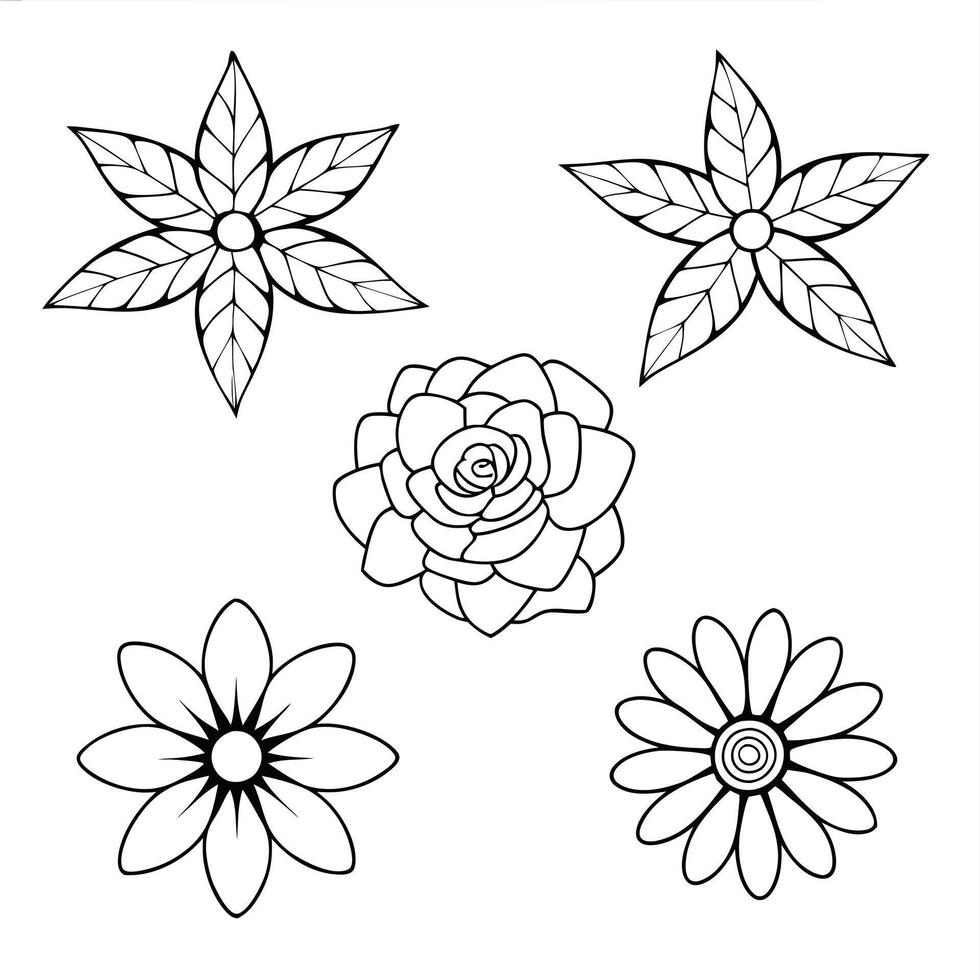 Decorative Floral Outline Set Stylish Botanical Illustrations vector