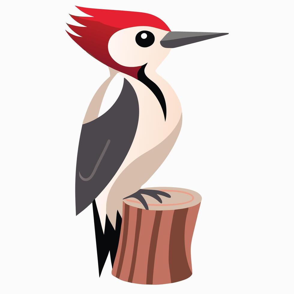 woodpecker, perched on branch in forest icon isolated. Woodpecker illustration design. vector