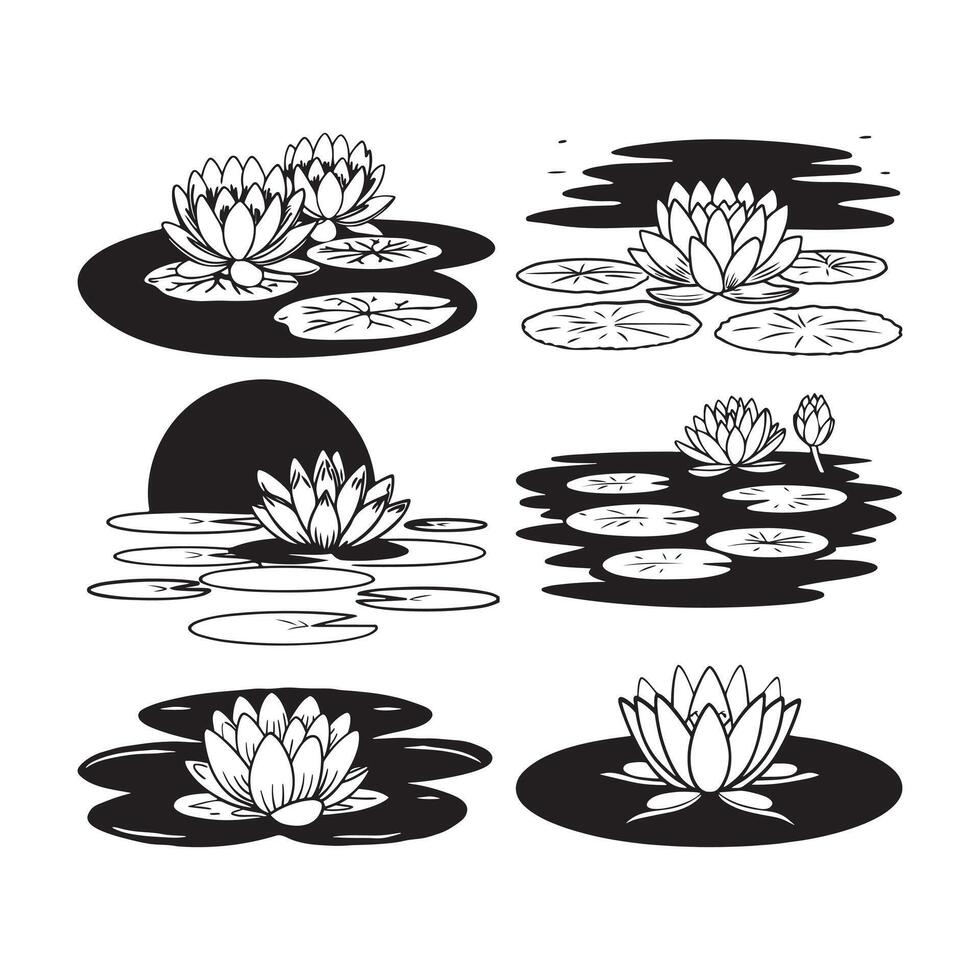 Set of water floral elements vector
