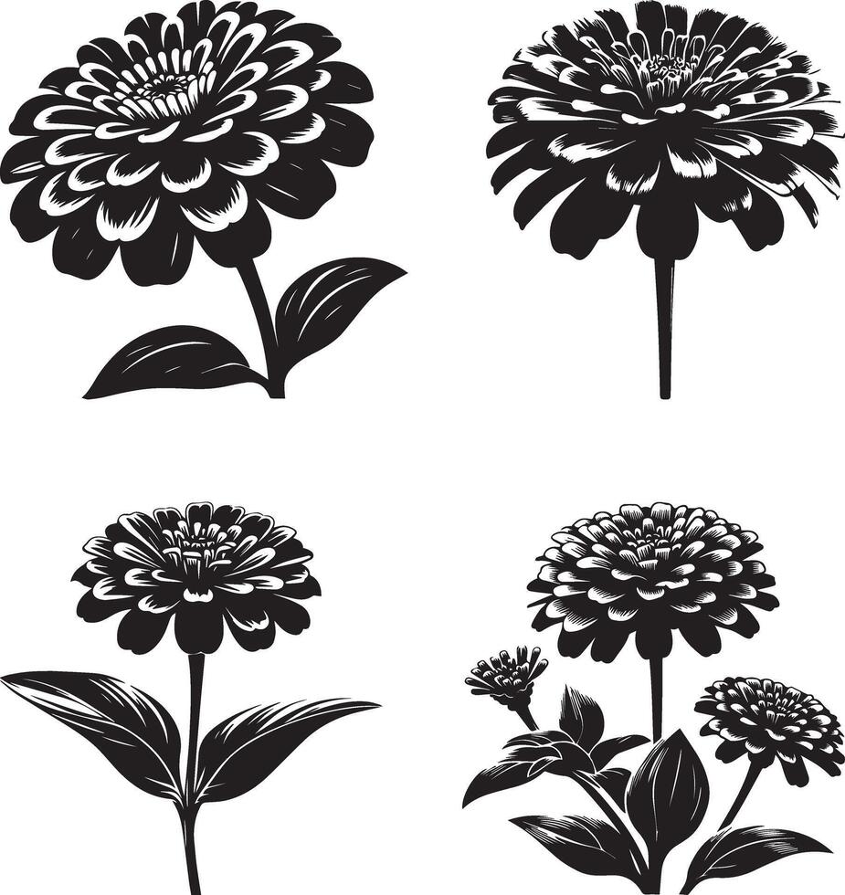 Zinnia flower Silhouettes Art Collection vector