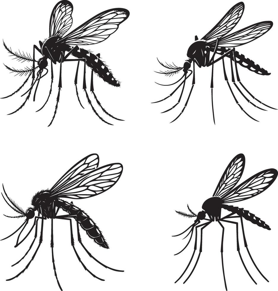 Mosquito Silhouettes Art Collection vector