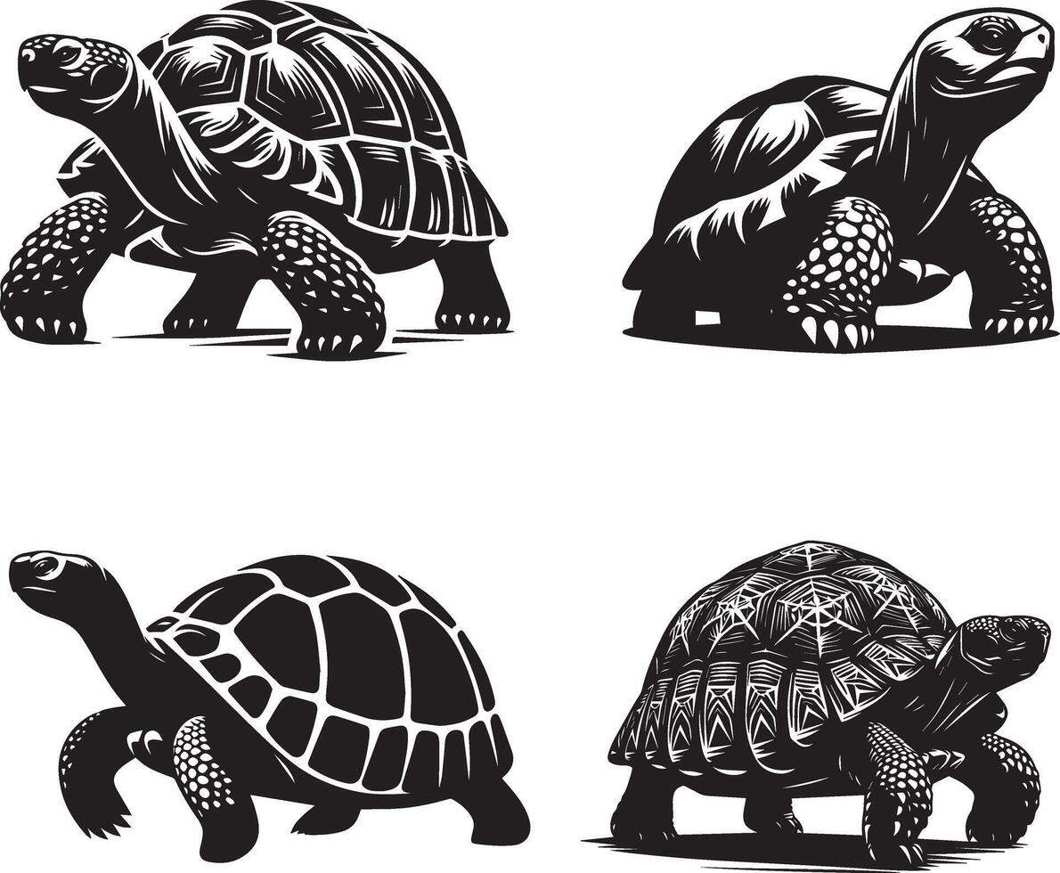 Tortoise Silhouettes Art Collection vector
