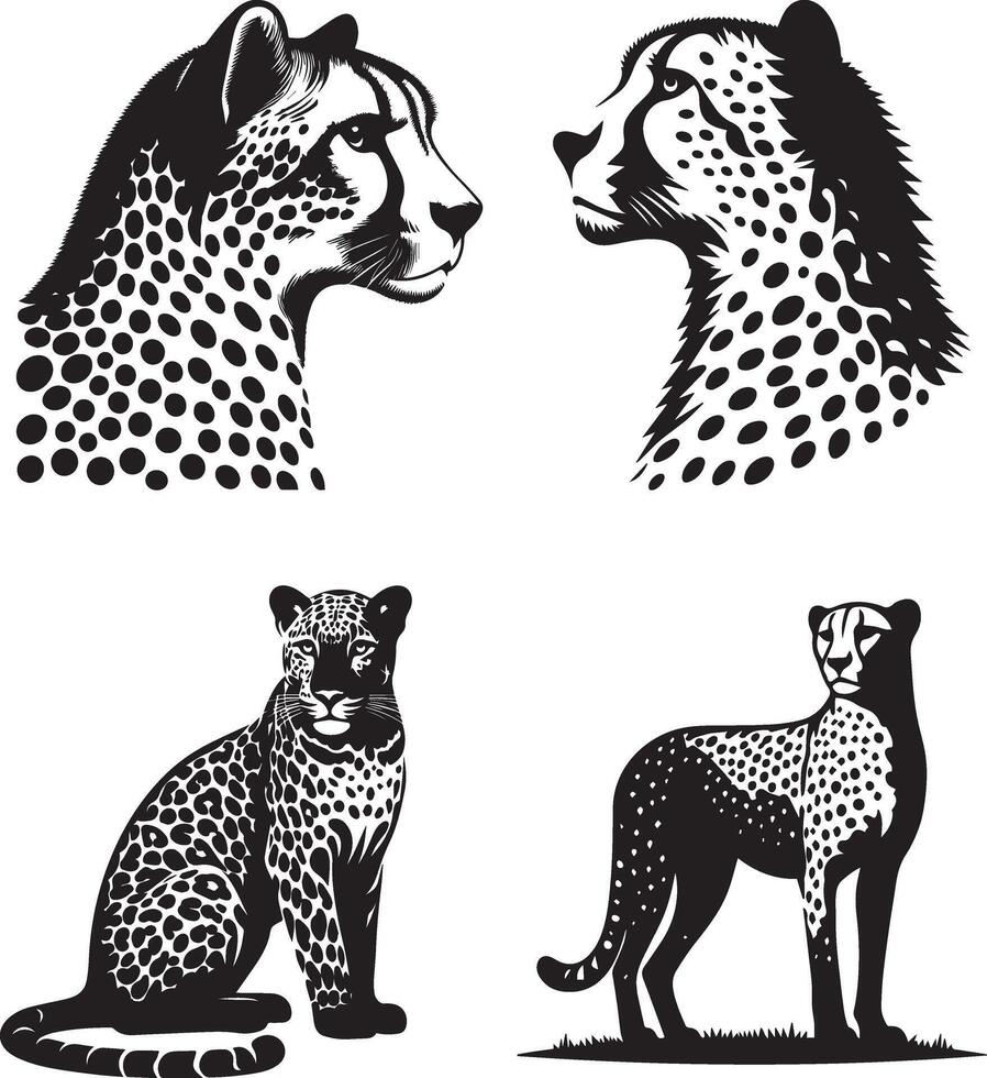 Cheetah and Leopard Silhouette Illustrations - Art vector