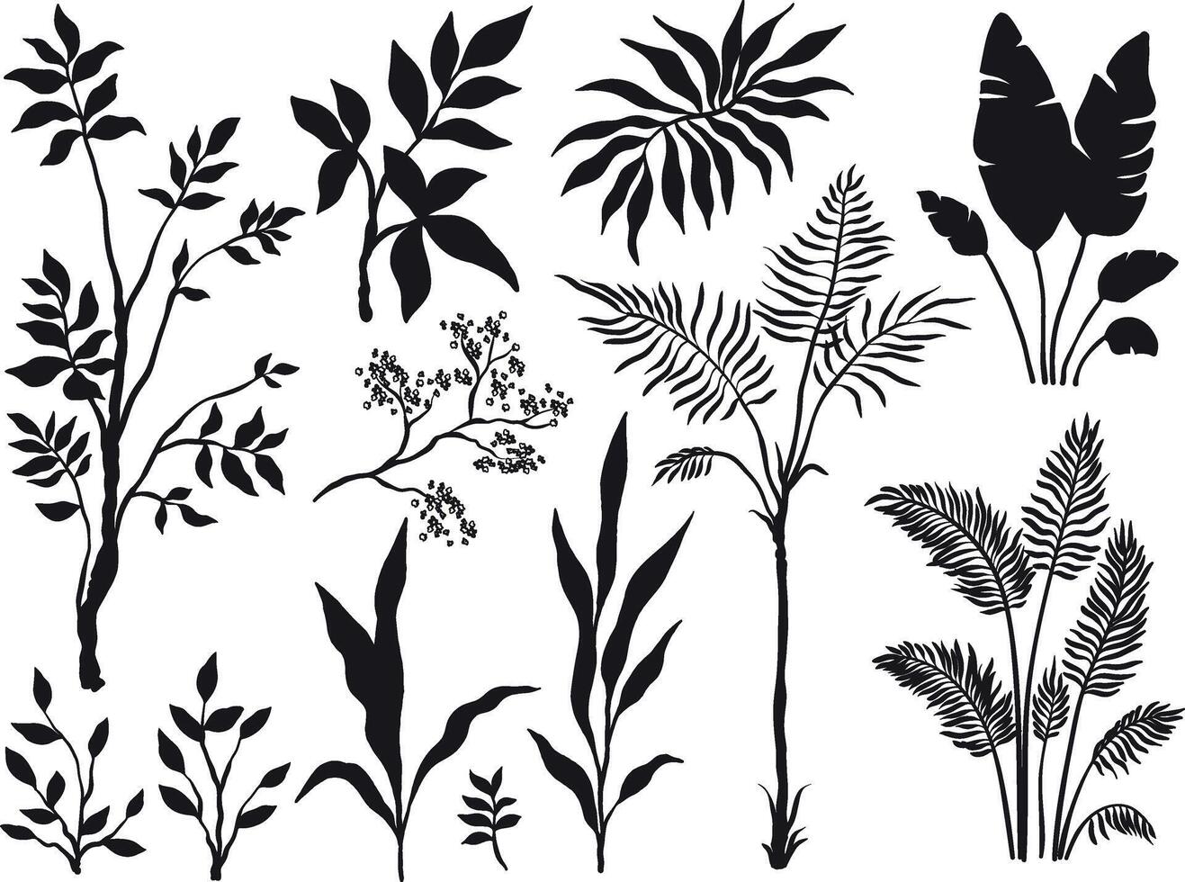 Set of silhouette palm trees and plants on white background vector