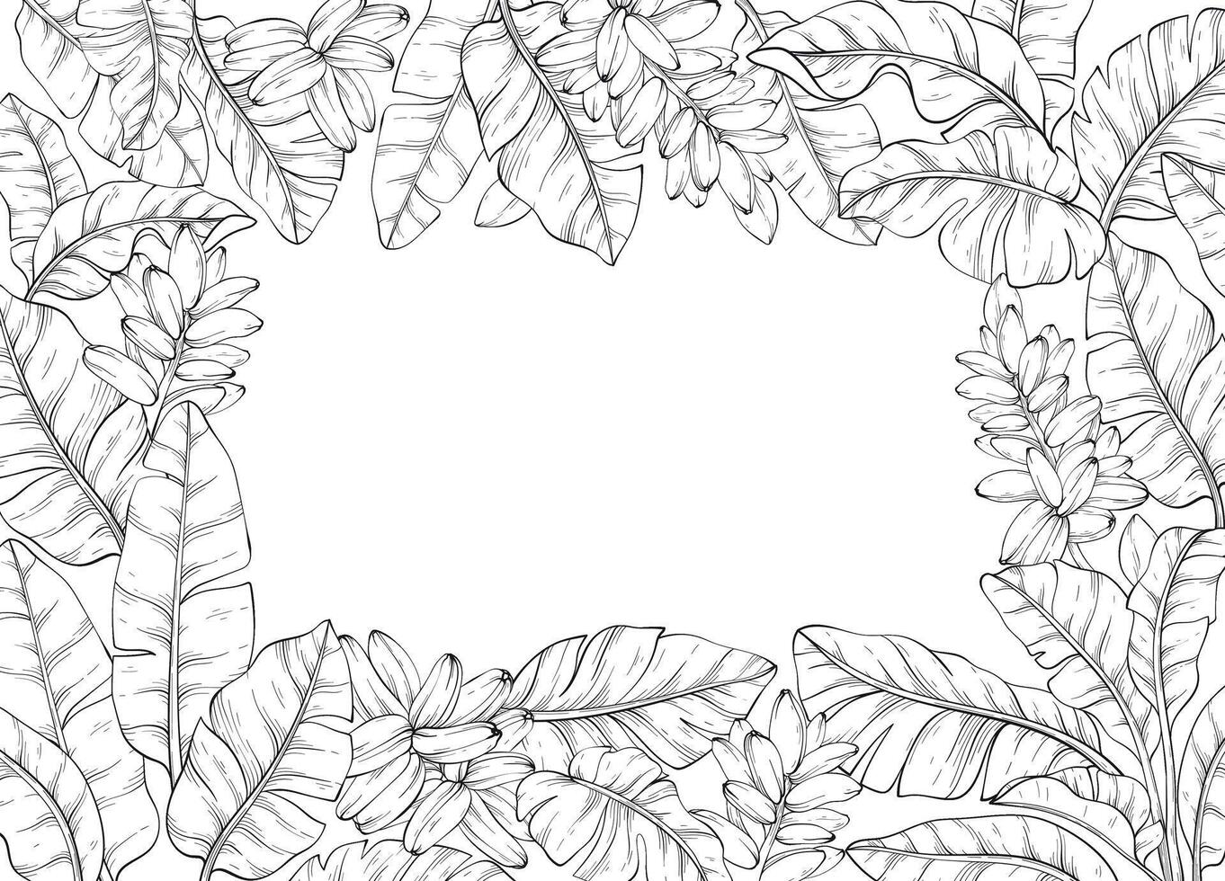 line art square frame adorned with Tropical banana palm leaves and flowers vector