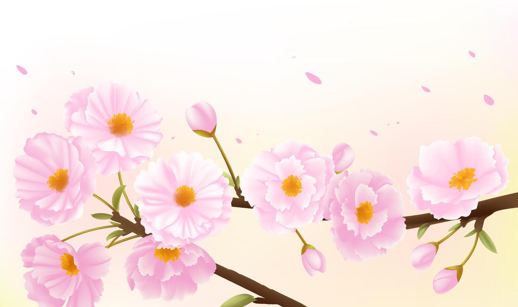 Spring horizontal illustrations design pink cherry blossoms vector
