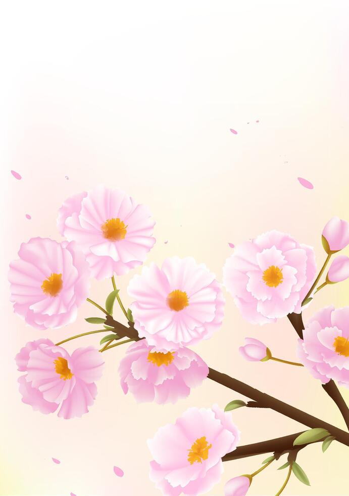 Spring vertical illustrations design pink cherry blossoms vector
