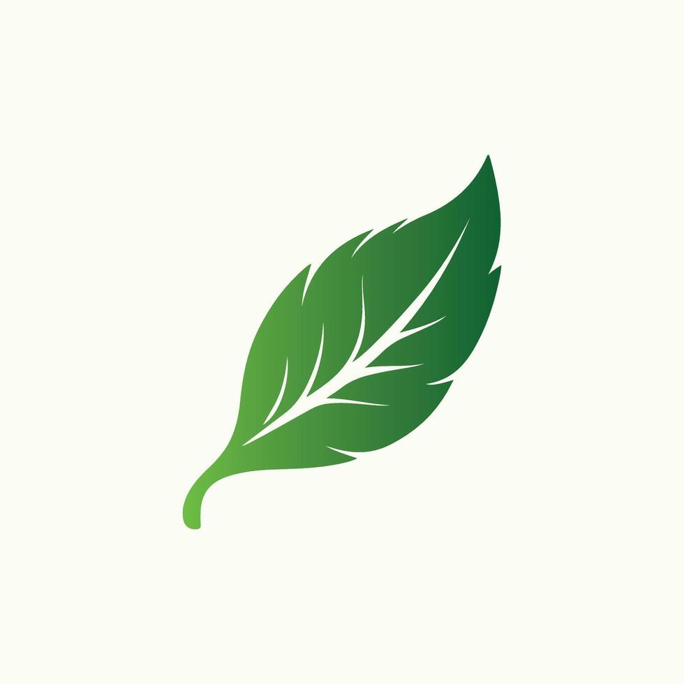 Flat Green Leaf Icon vector