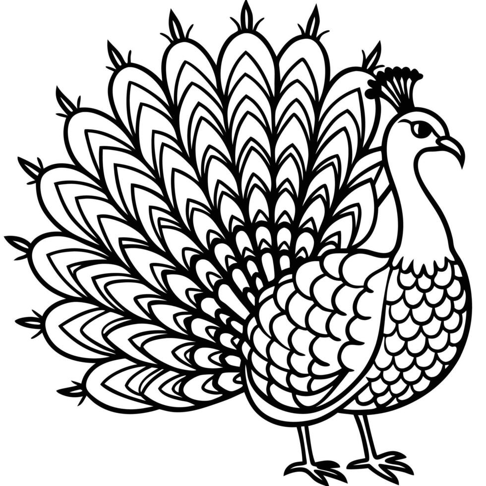 Peacock Peacock Line Drawing vector