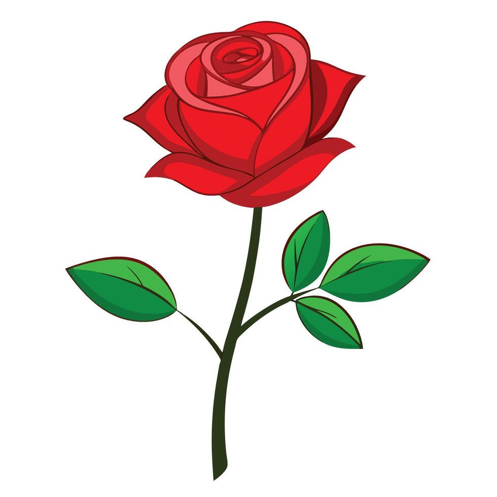 a red rose with leaves on a white background vector