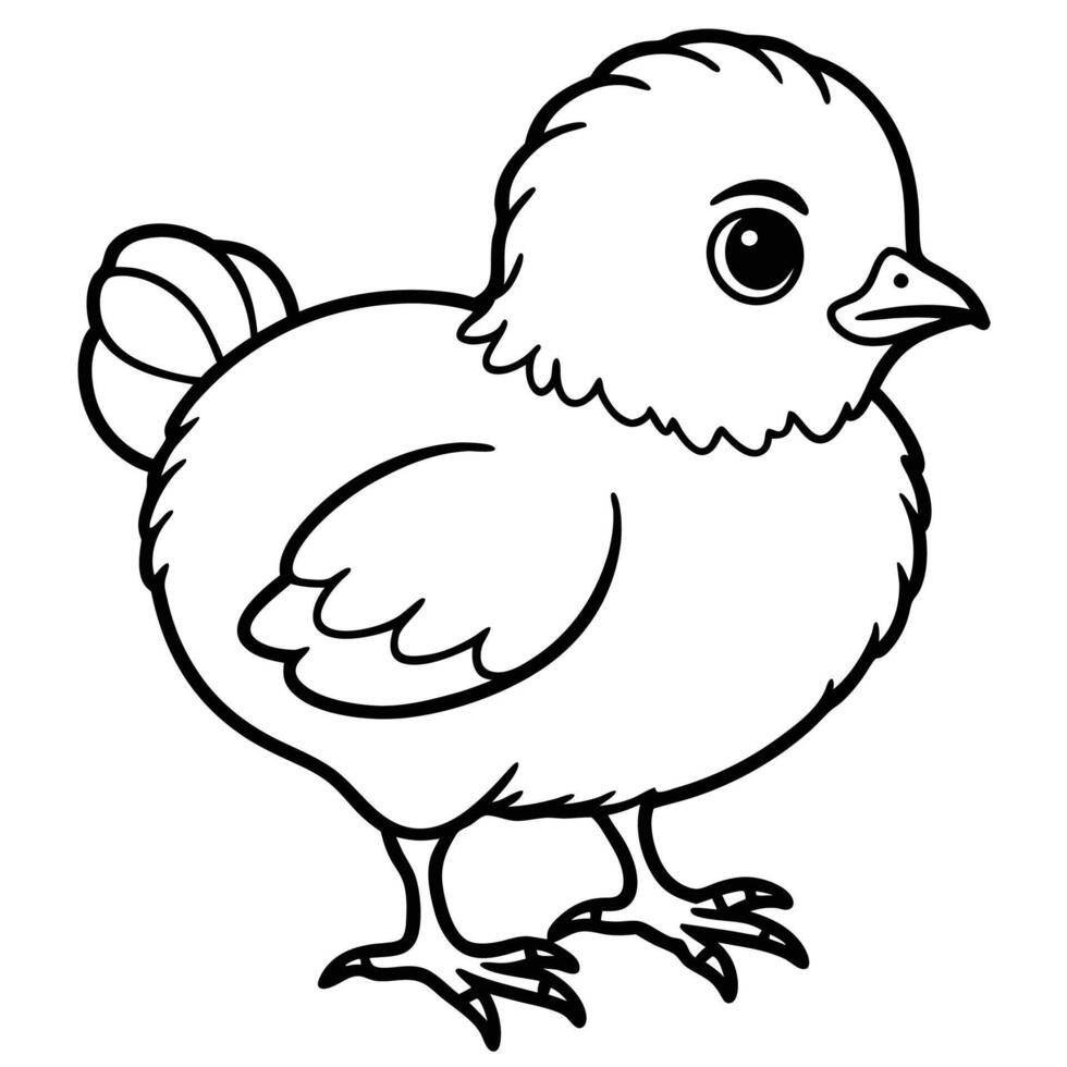 Cute chick line drawing vector