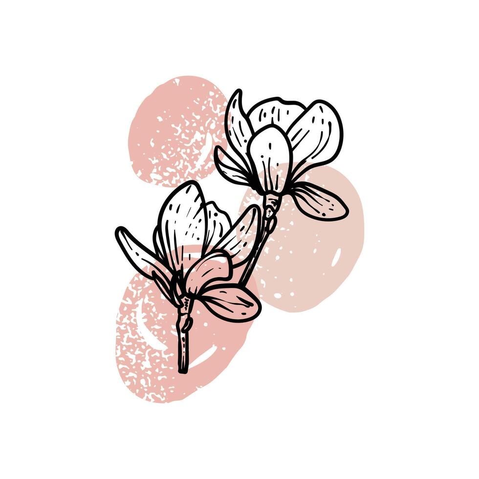 Hand drawn line art magnolias in bloom. illustration of spring flowers. Elegant doodle of beautiful flowers on beige sketched background. Graphic assets for print and online designs. vector