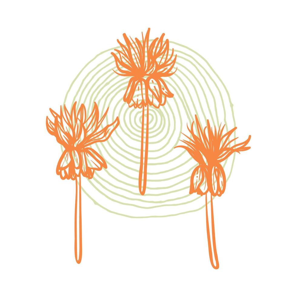 Hand drawn line art fritillaries. illustrations of spring flowers. Orange elegant sketchy doodles of beautiful flowers on green sketched background. Graphic assets for print and online designs. vector