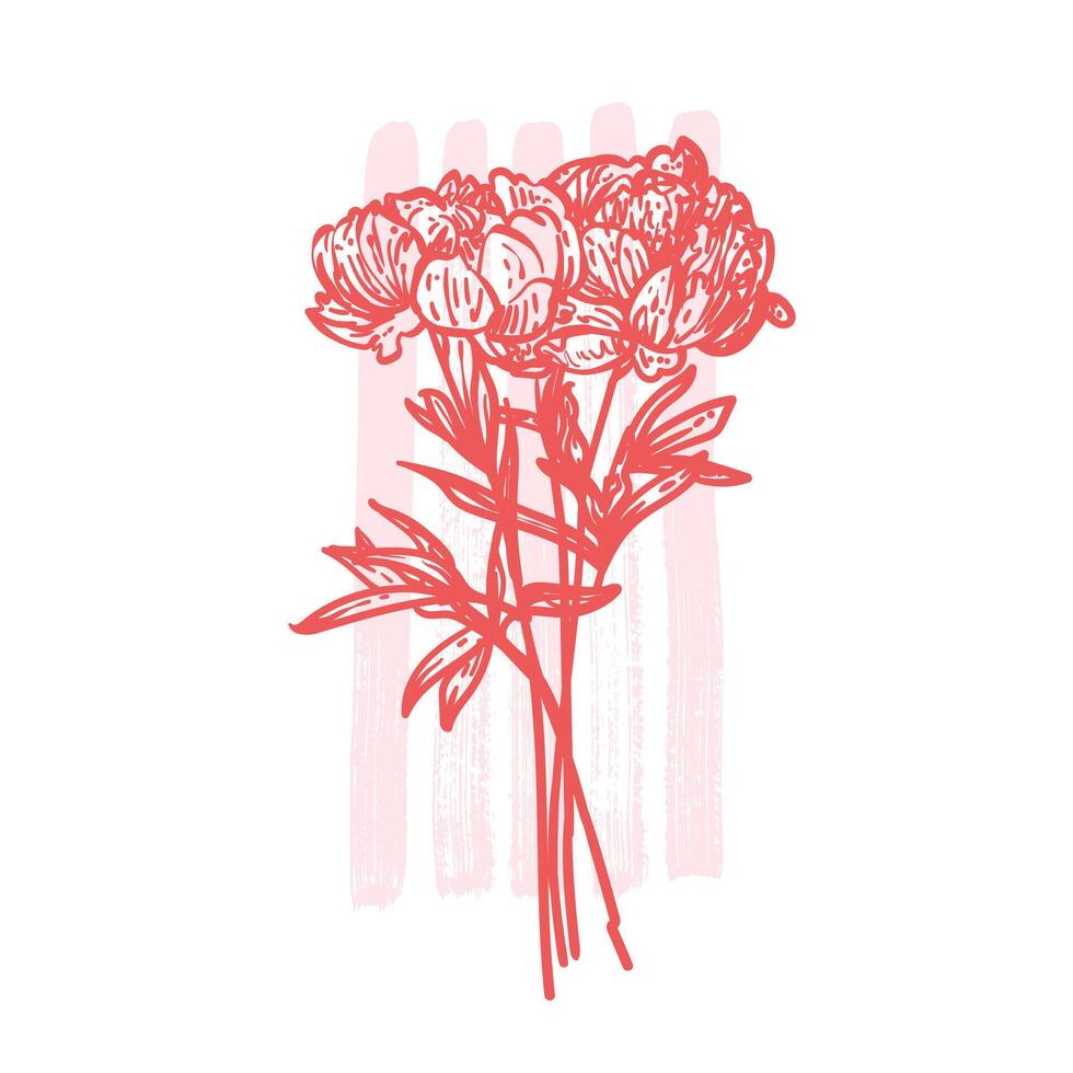 Hand drawn line art peonies bouquet. illustration of spring flowers. Elegant coral red doodle of beautiful flowers on pink sketched background. Graphic assets for print and online designs. vector