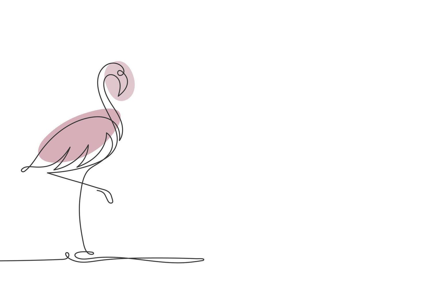 Continuous one line drawing of a flamingo on a white background. Illustration. vector