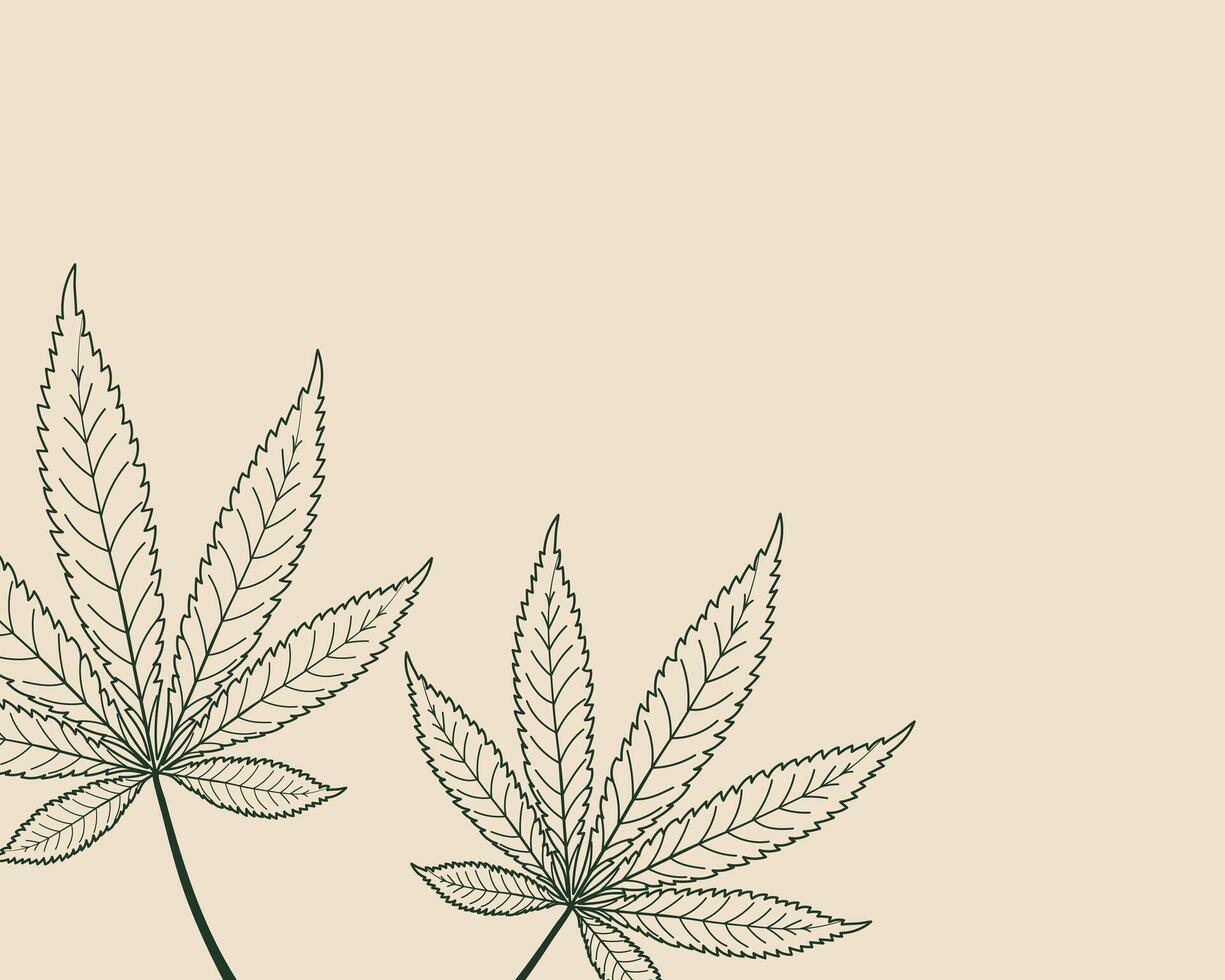 Cannabis leaf background. Marijuana leaves sketch. Hemp leaves. Illustration. vector