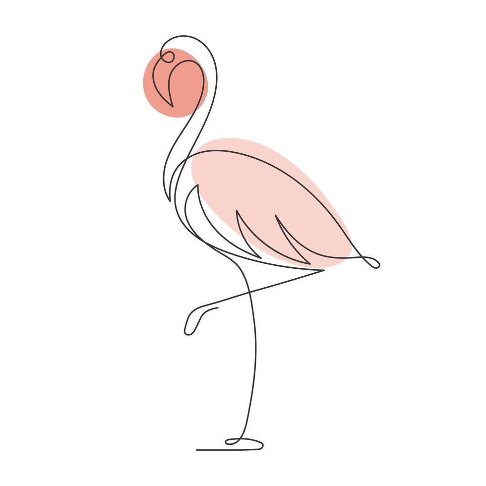 Continuous one line drawing of a flamingo on a white background. Illustration vector