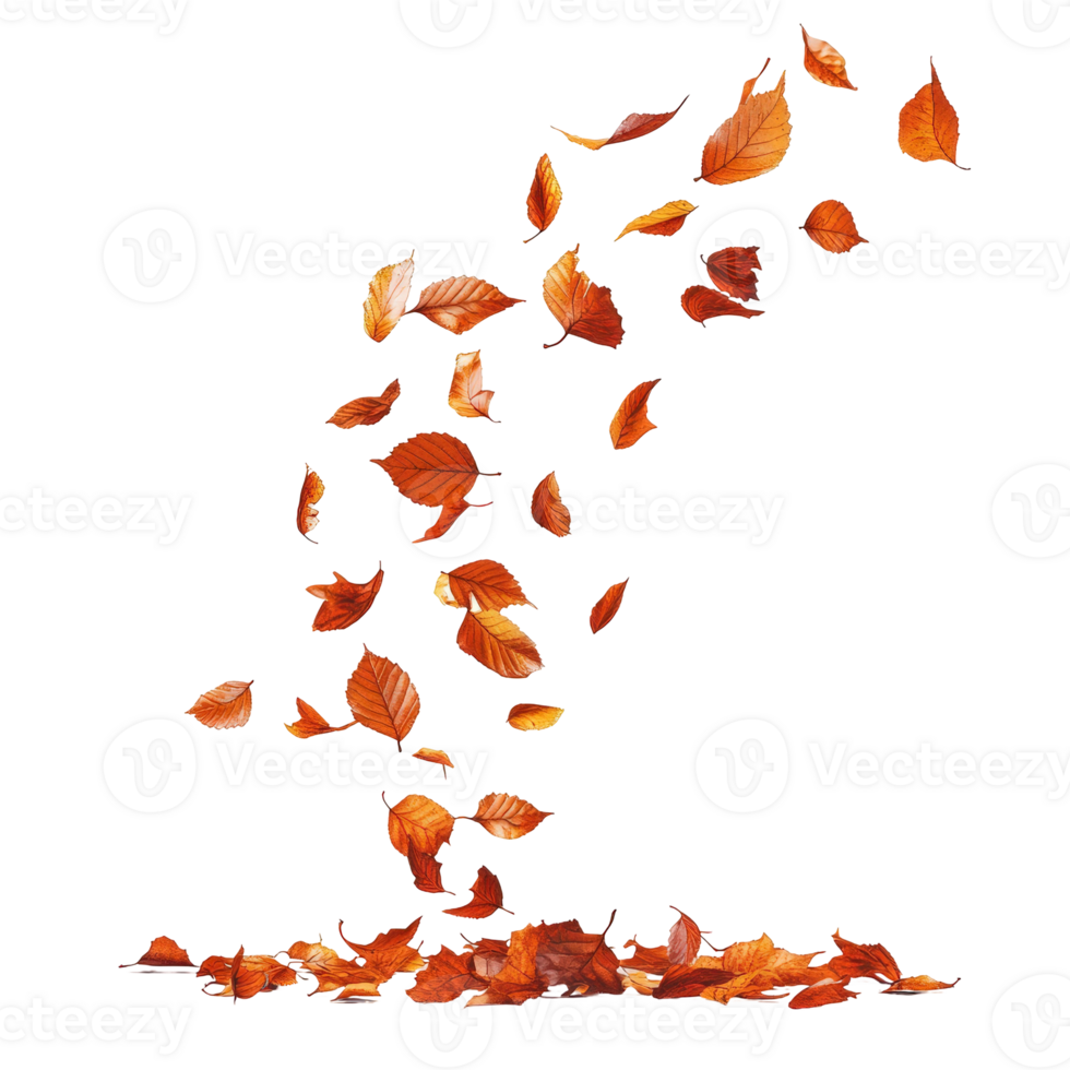 Falling Autumn Leaves with Vibrant Colors in a Whimsical Display, Creating a Magical Seasonal Atmosphere png