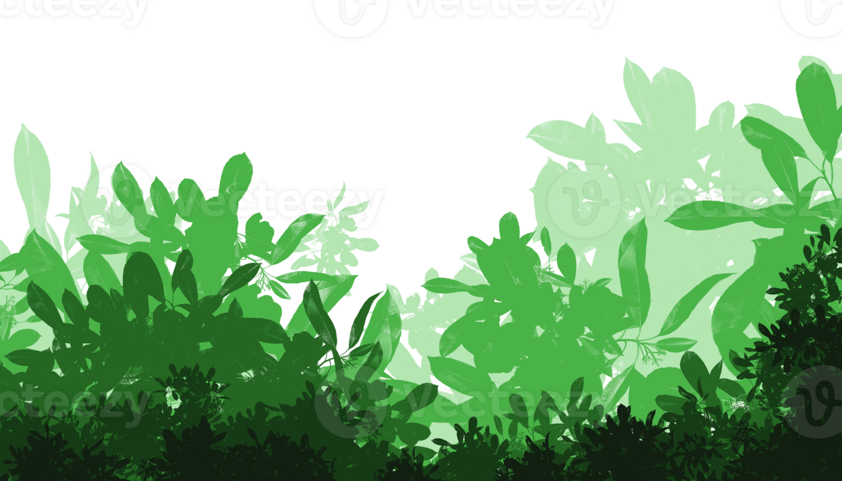 green trees and bushes on a transparent background png
