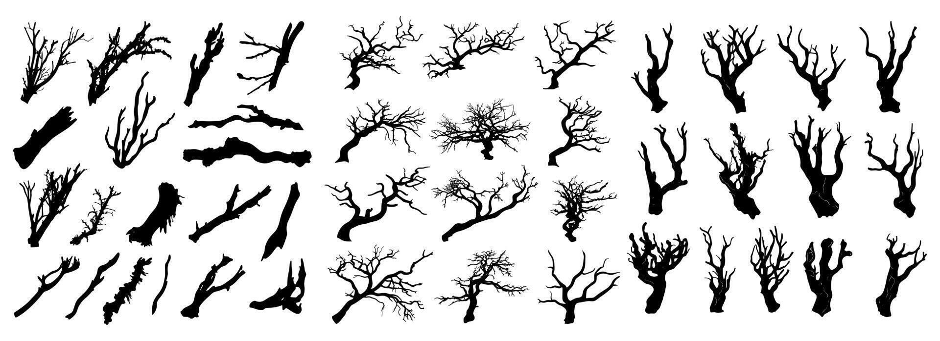 Silhouette collection showing gnarled, dry tree branches with intricate details, offered on a transparent backdrop for design purposes vector