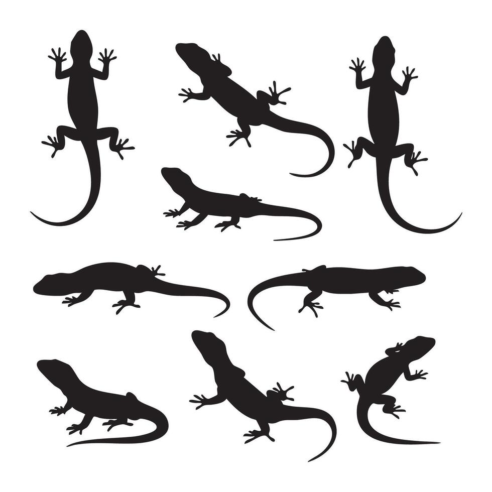 Black silhouettes of lizards set against a white background vector