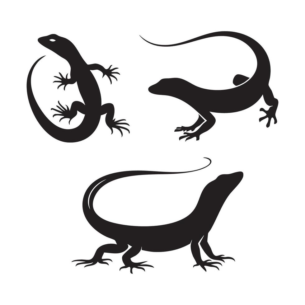 Set of lizard silhouettes arranged on a white background vector