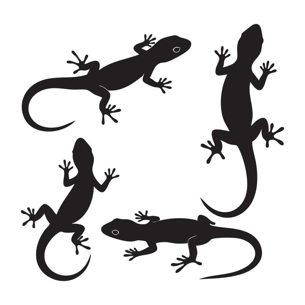 Lizard silhouette designs on a plain white background vector