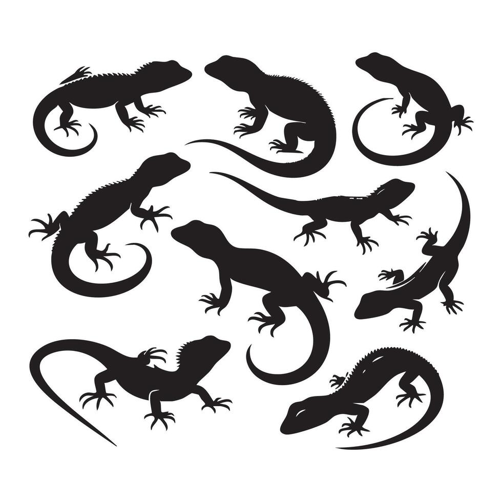 Assorted lizard silhouettes featured on a white background vector