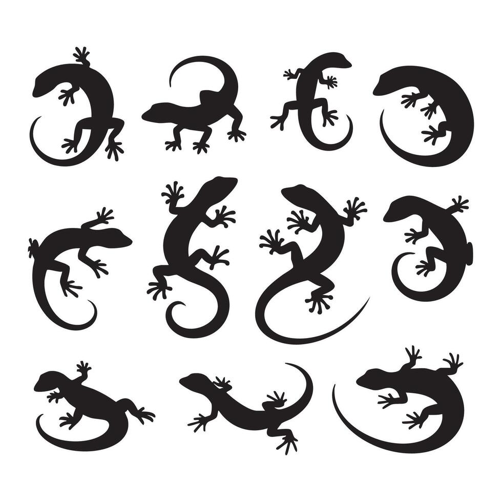 Silhouette set featuring various lizards on a white background vector
