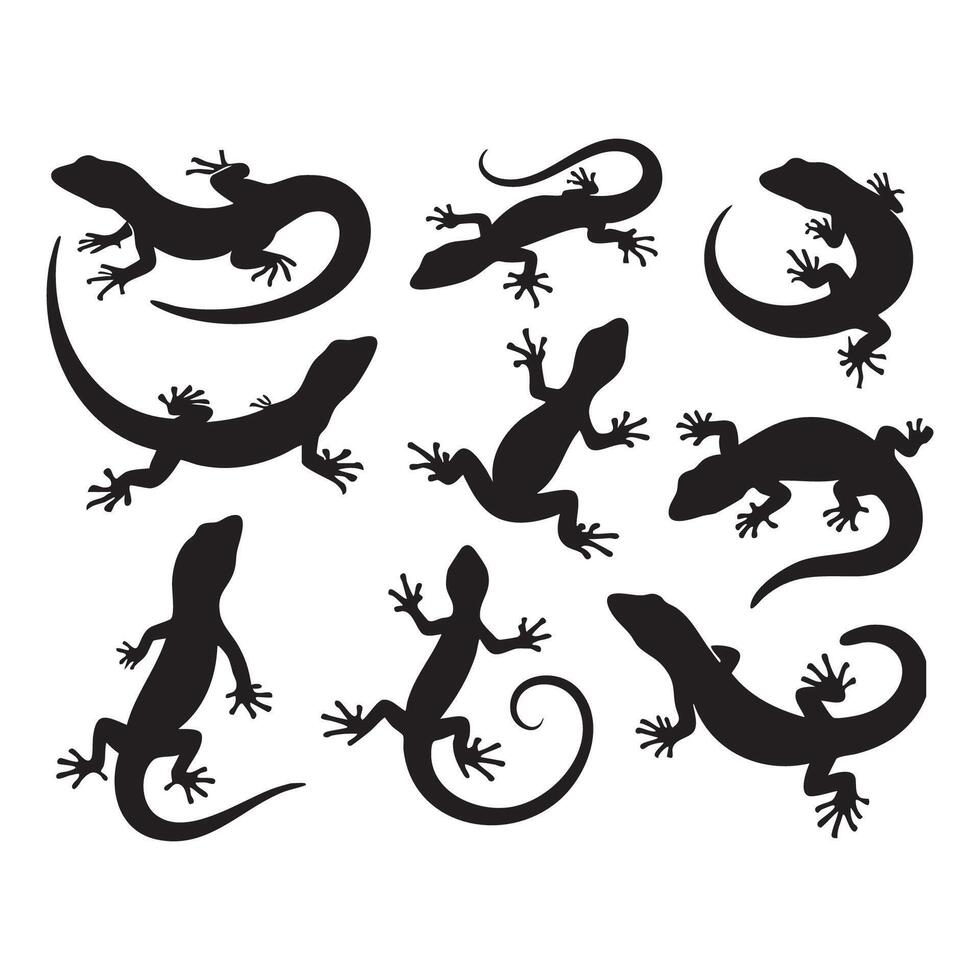 A set of lizard silhouettes on a white backdrop vector