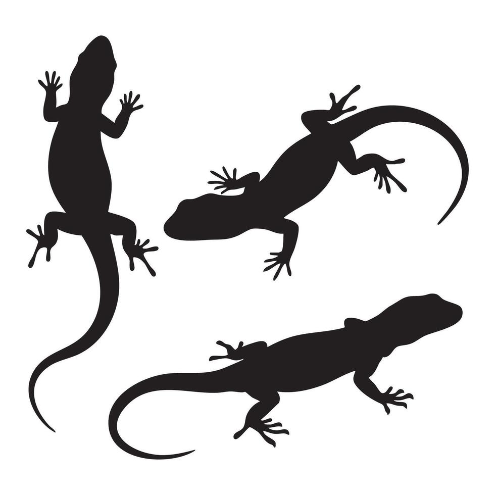 A collection of lizard silhouettes against a white background vector