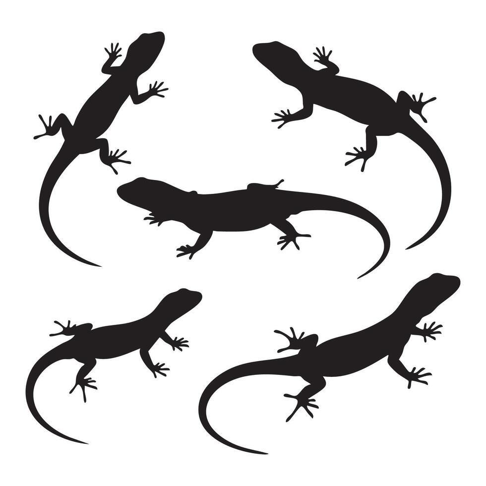Lizard silhouette set displayed on a white background vector