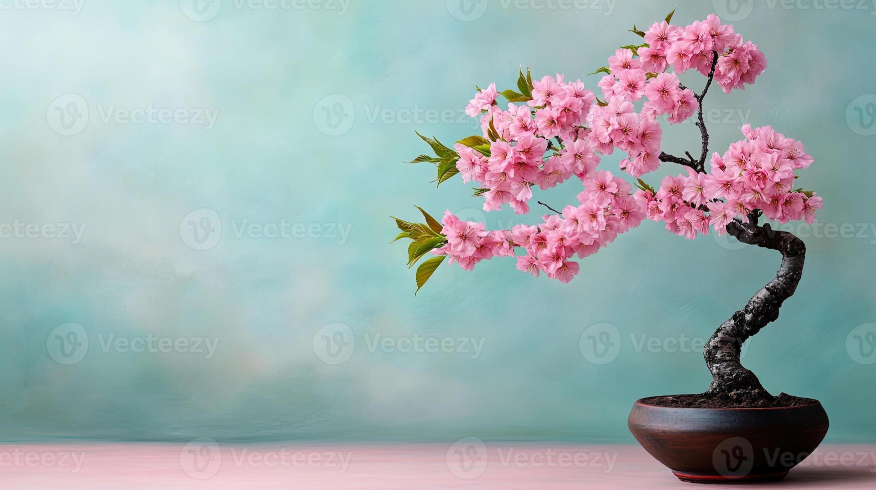 Beautiful Pink Cherry Blossom Bonsai Tree in Elegant Pot photo