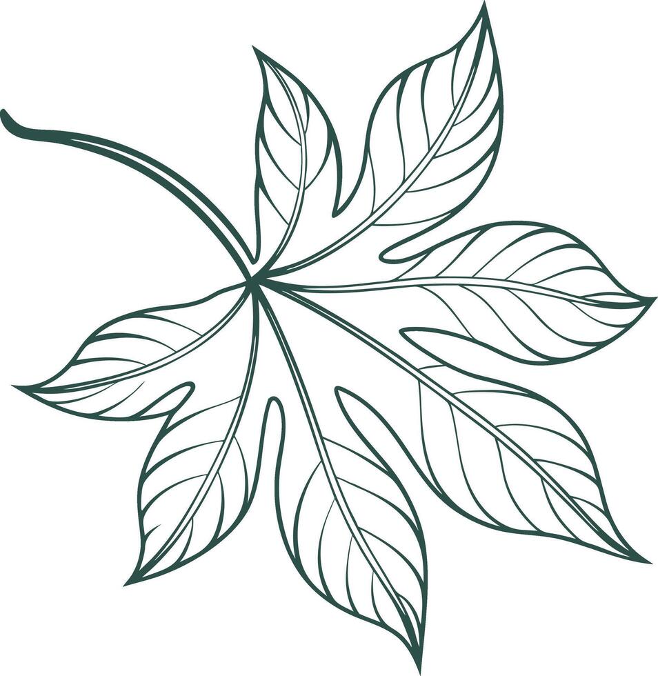star shaped leaf vector