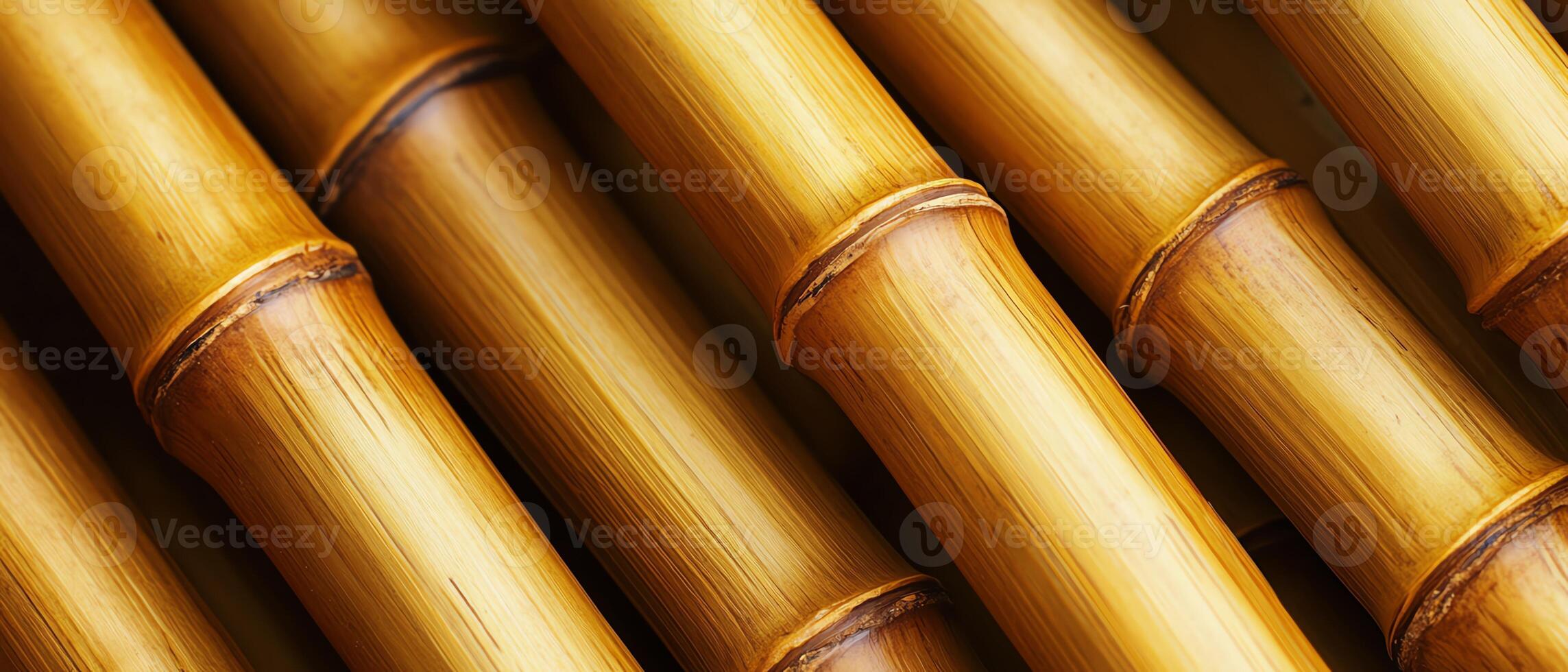 Close-up of smooth bamboo stalks arranged neatly. photo