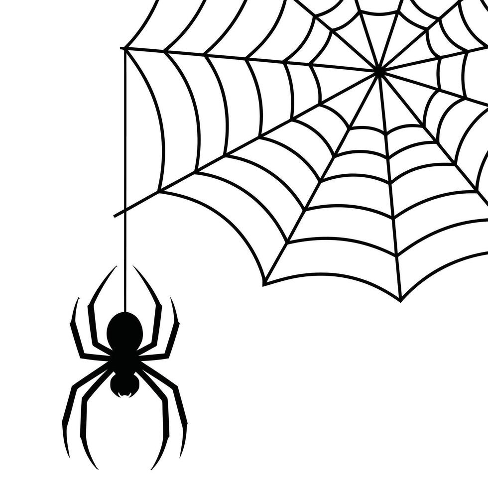 Spider web with spider on it vector