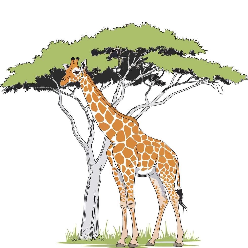 Giraffe standing under a tree vector