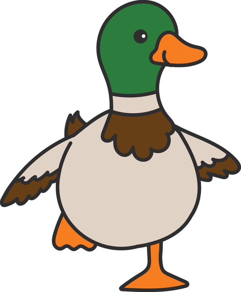 Cute mallard duck vector