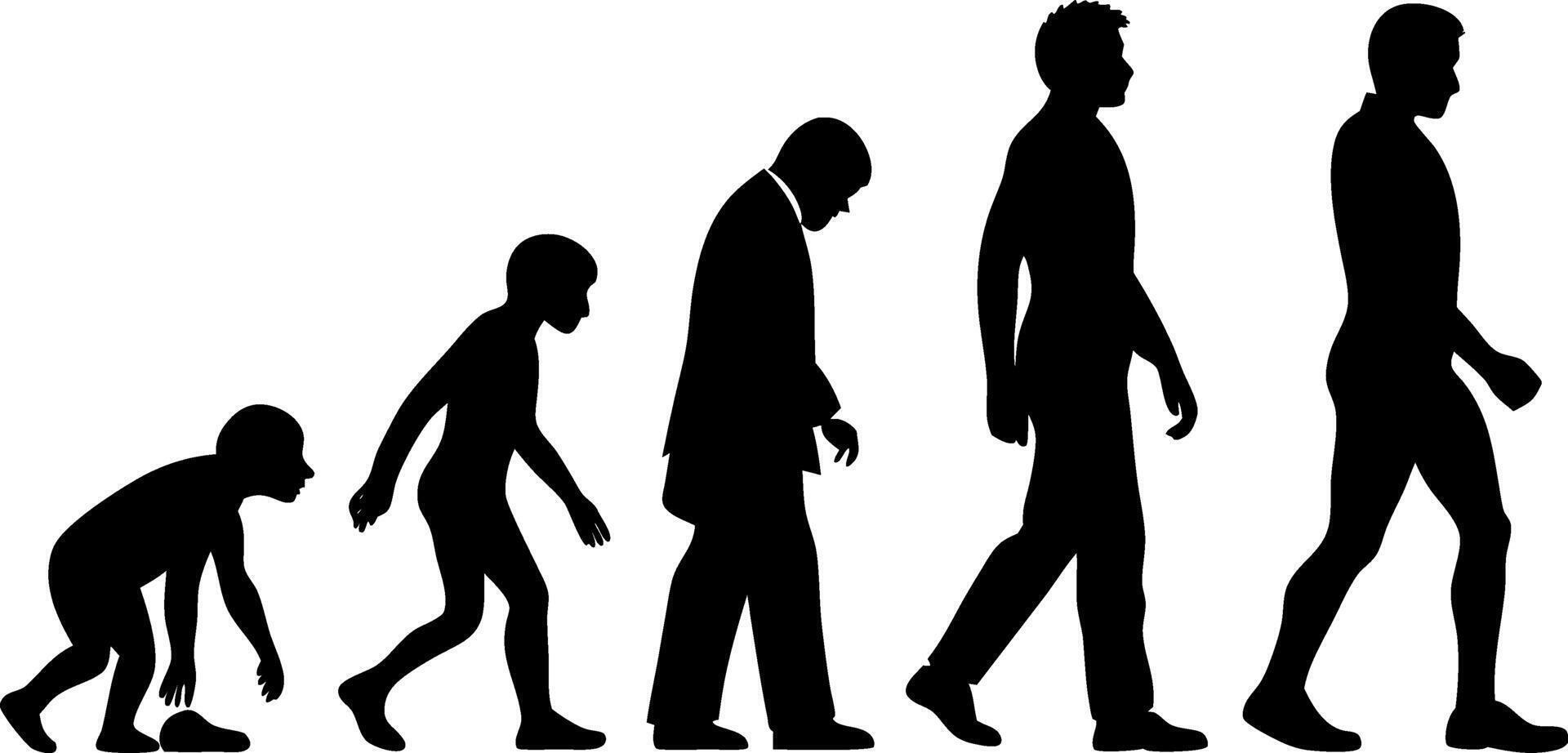 The Progression of Human Life A Silhouette Illustration of Evolution from a Young Boy to an Adult vector