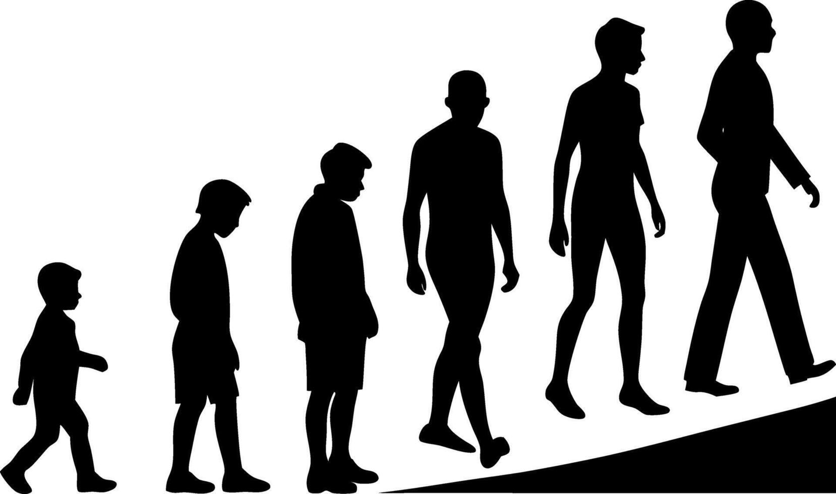 A Detailed Silhouette Depiction of Human Evolution from Childhood to Adulthood. vector