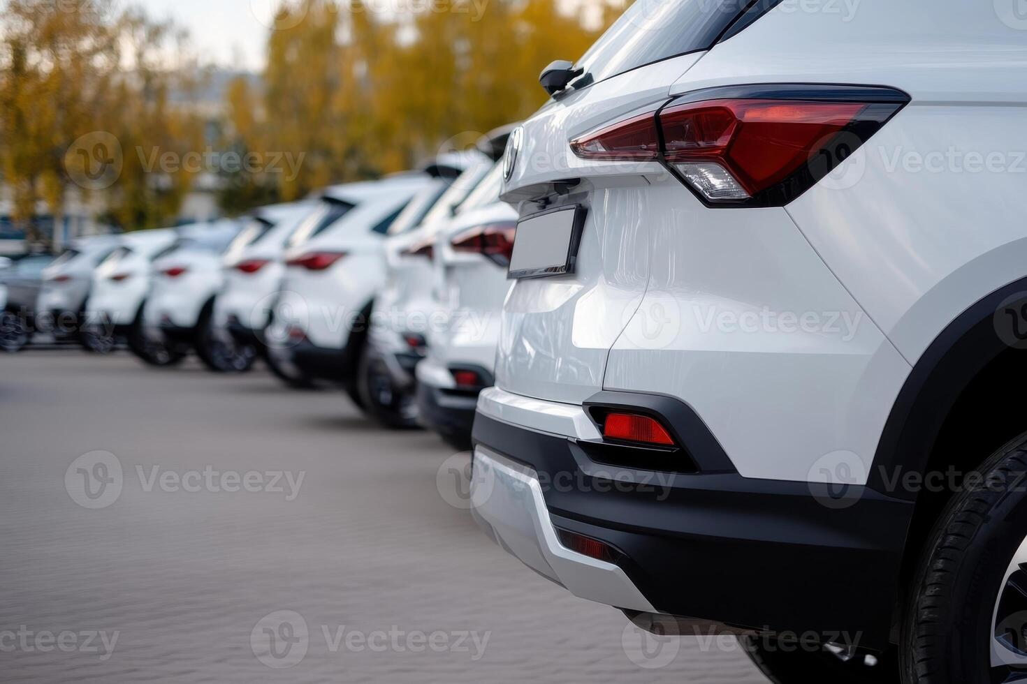 Row of white SUV's are lined up in a parking lot, close up of the vehicles back ends photo