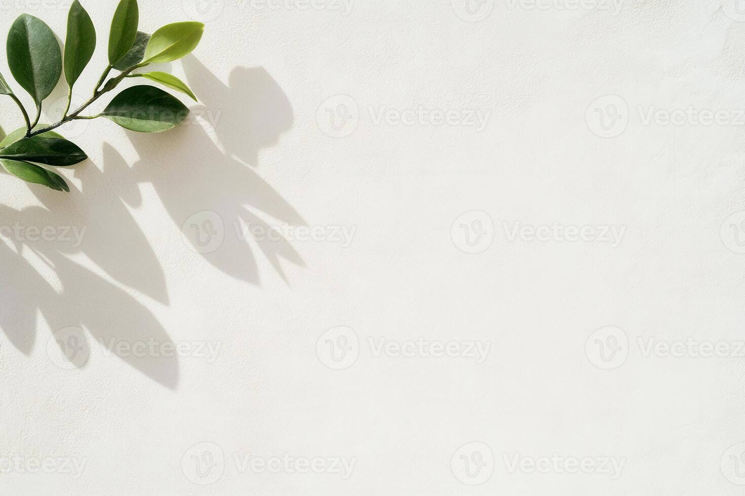 Green leaves cascade shadow designs over a white canvas, a study in natural forms and light photo