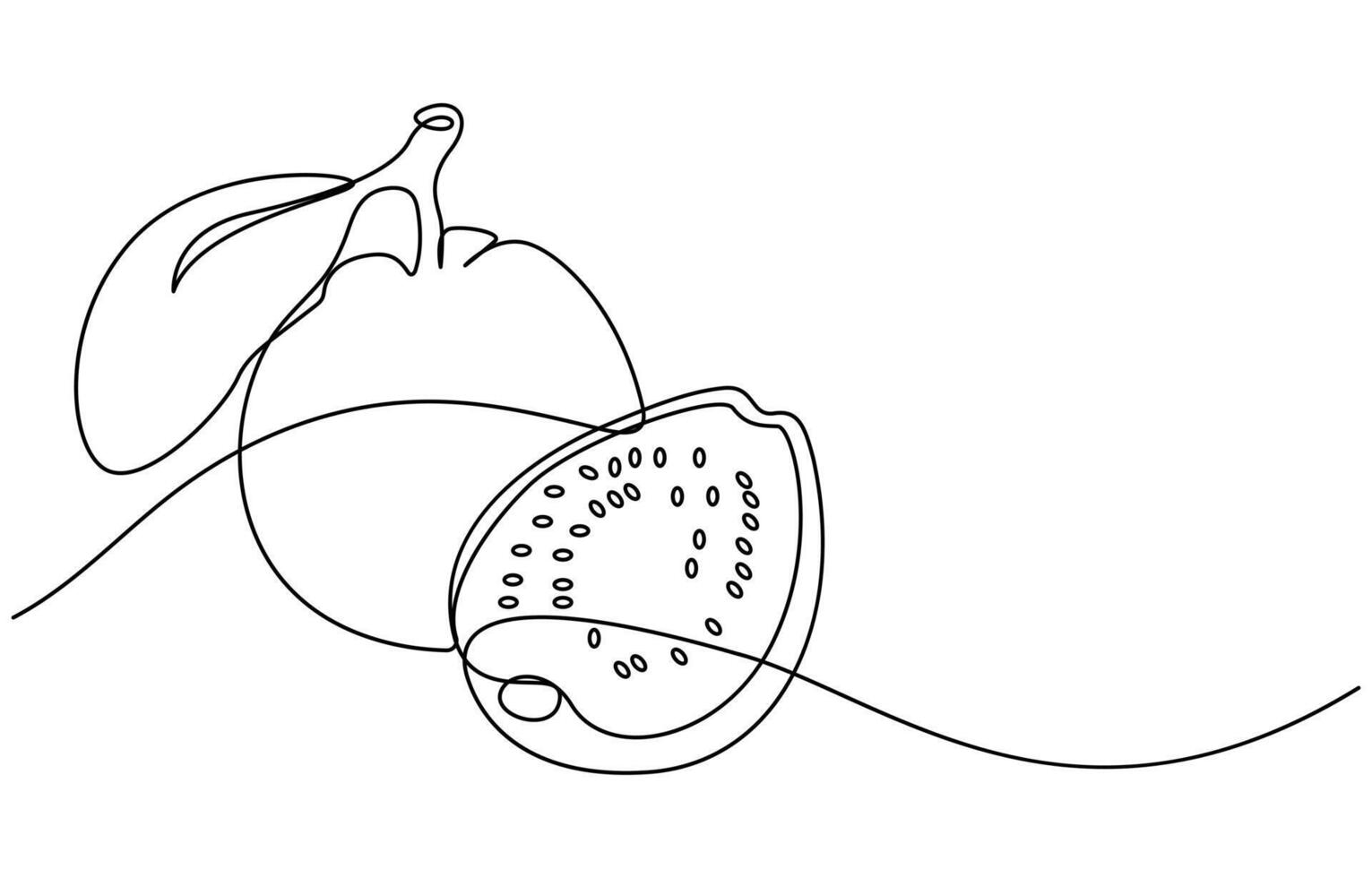 Single one line fruits concept vector