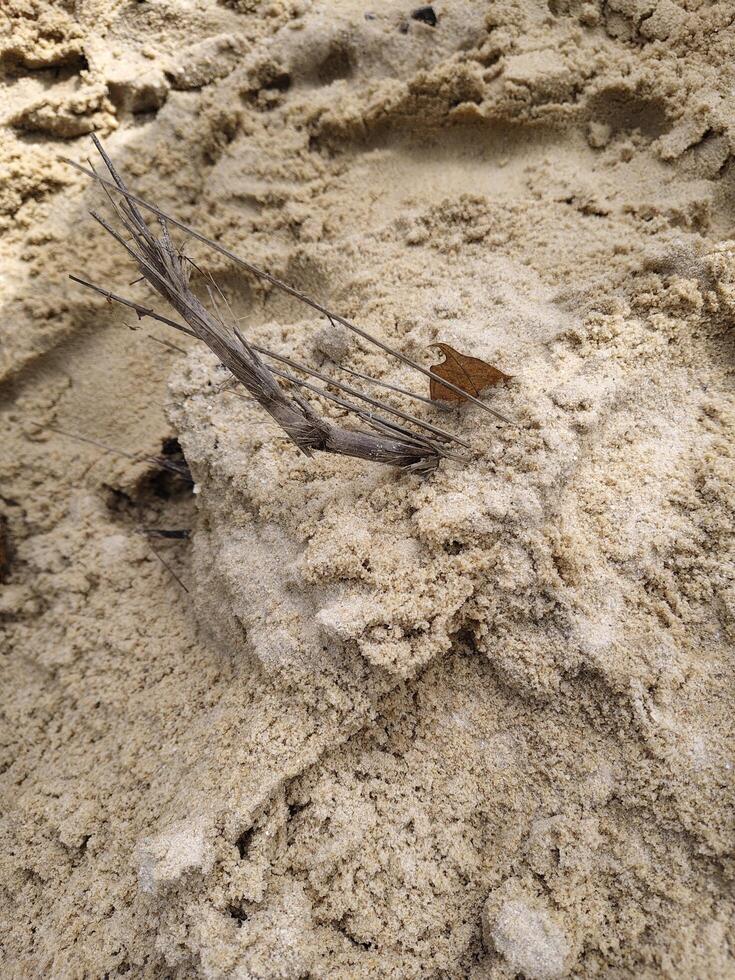 The pile of sand on the edge of the river is brown photo