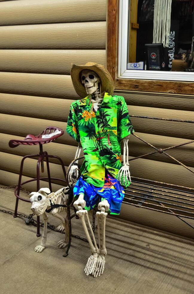 Art object near the store, the skeleton of a man and a dog in clothes. North Dakota photo